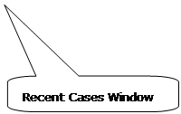 Rounded Rectangular Callout: Recent Cases Window Toolbar 