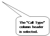Rounded Rectangular Callout: The “Call Type” column header is selected.