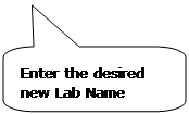 Rounded Rectangular Callout: Enter the desired new Lab Name here.