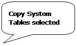 Rounded Rectangular Callout: Copy System Tables selected